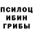 Галлюциногенные грибы прущие грибы Austin Kaczmarek