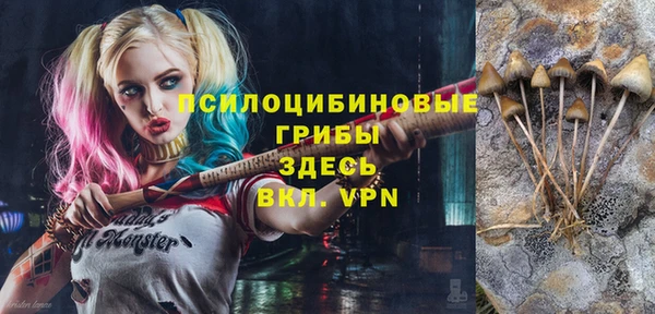 прущие грибы Беломорск