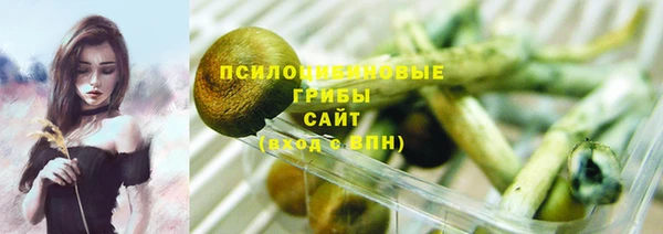 прущие грибы Беломорск