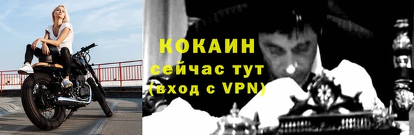 прущие грибы Беломорск