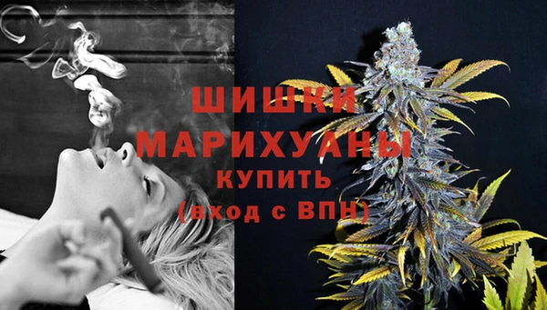 прущие грибы Беломорск