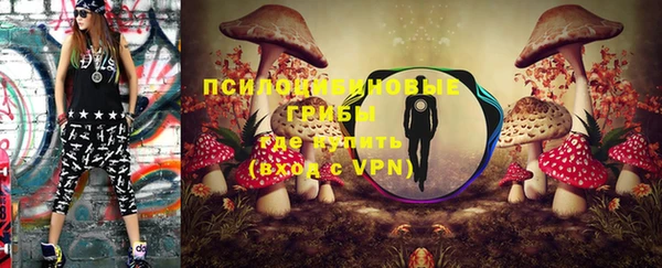 ALPHA PVP Белокуриха