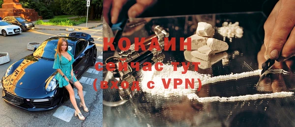 прущие грибы Беломорск