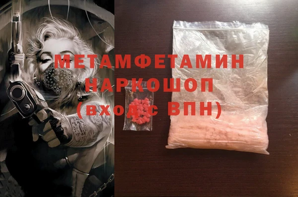 прущие грибы Беломорск