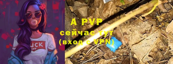 прущие грибы Беломорск