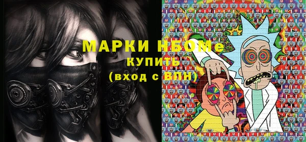 прущие грибы Беломорск