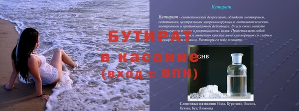 прущие грибы Беломорск