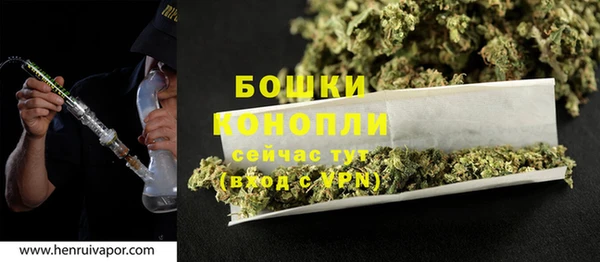 прущие грибы Беломорск