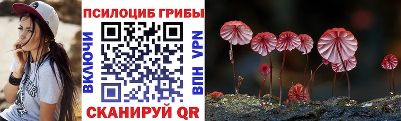 Псилоцибиновые грибы Psilocybe  Реж 